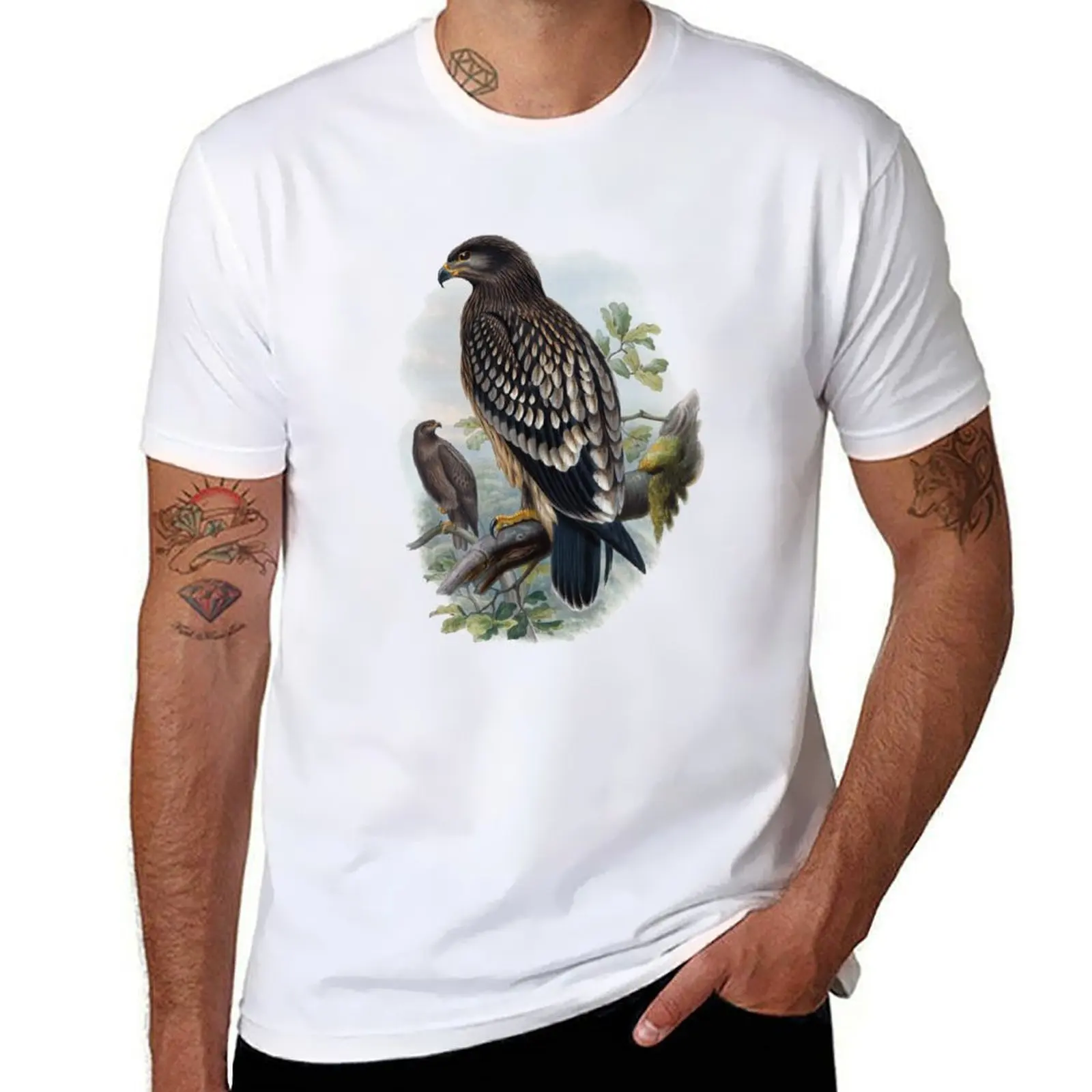 

Antique Zoology: drawing of spotted eagle (Aquila naevia) T-Shirt t shirts for man graphic vintage mens graphic t shirts T-Shirt