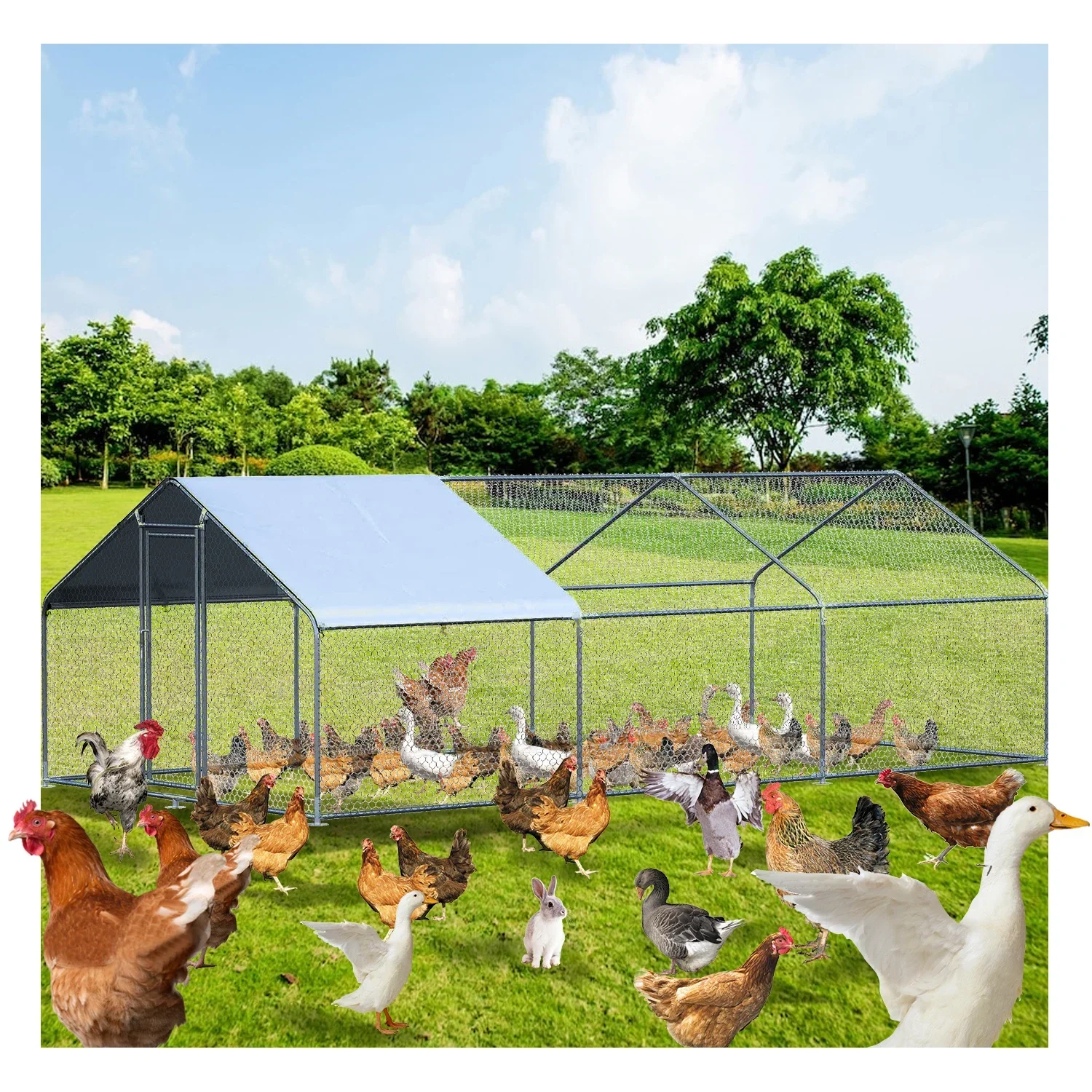 Custom Iron 19.5*9.8*6.5 Feet Chicken Coop Animal Cages Stainless Steel Chicken House Cage for Farms Chicken Coop