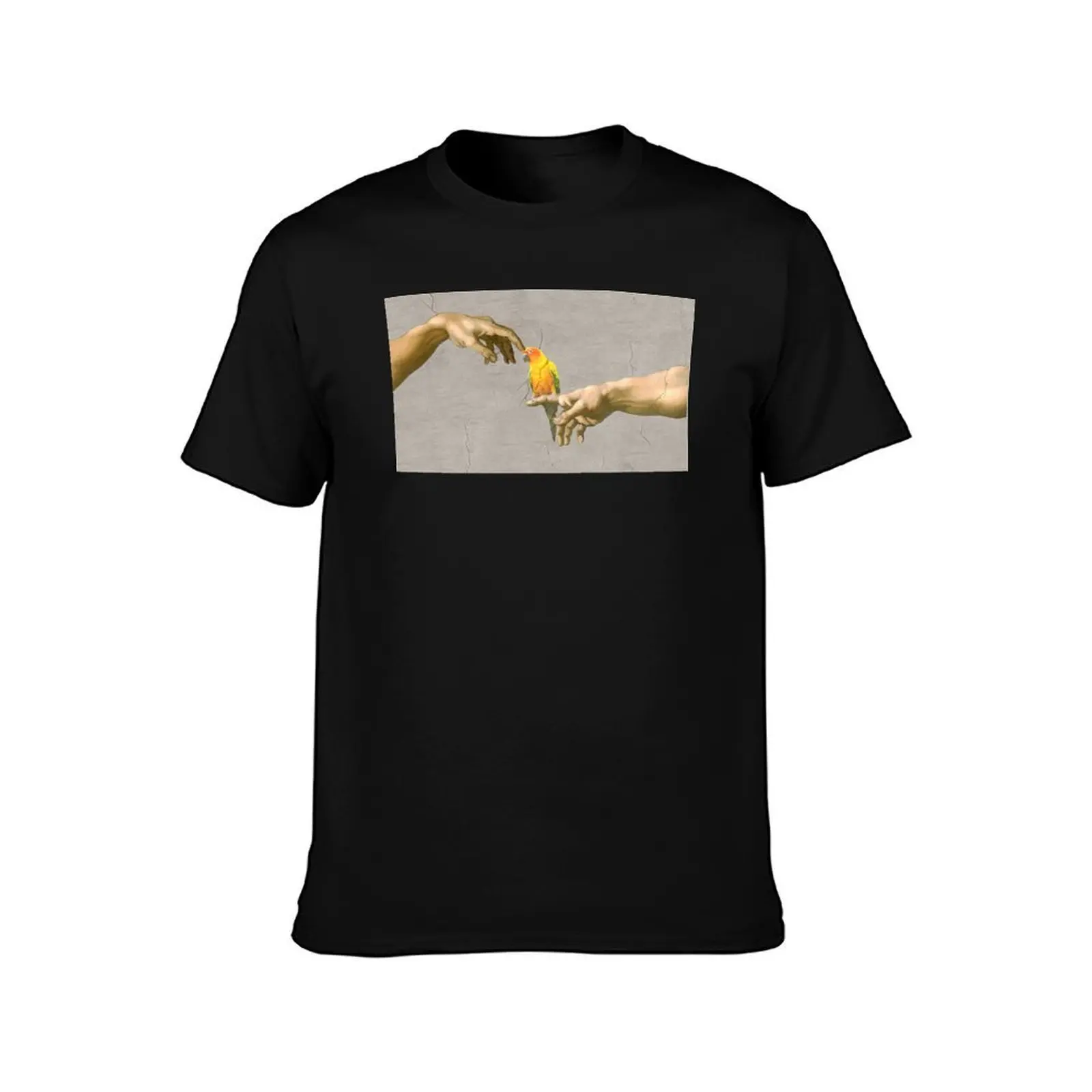 Scritching a sun conure T-Shirt Big Size Simple T-Shirt