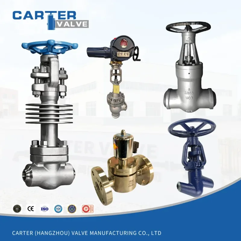 

High Temperature Valve WCB WC6 WC9 F91 310S Flange BW Socket Weld Manual Gear Electric Steam ANSI Class2500 OEM ODM
