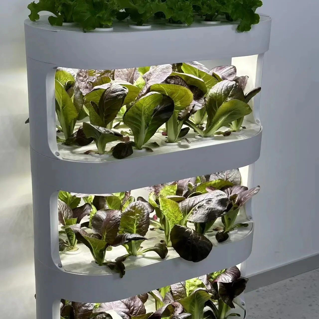 Greenhouse hydroponic system family soilless cultivation vertical frame