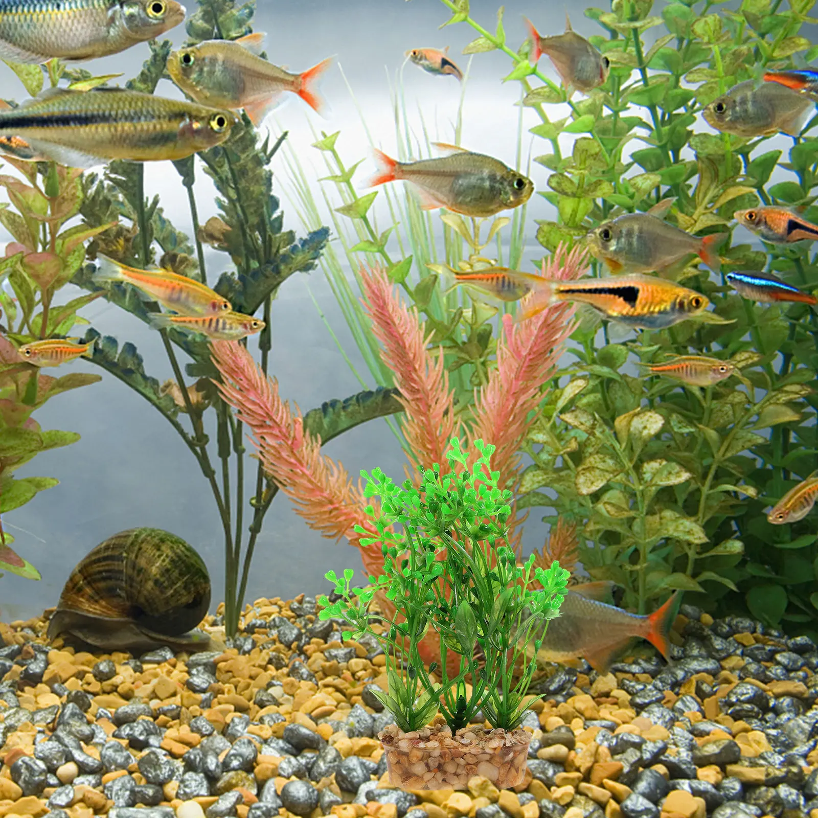 Künstliche Wasserpflanzen für  – Planted Aquarium Freshwater Bewertung und Preis