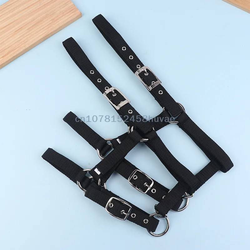 1 قطعة حزام النايلون قابل للتعديل الفروسية الغربية الحصان الرسن ركوب الخيل ارتداء الأسود XS S M L XL مريح الرسن