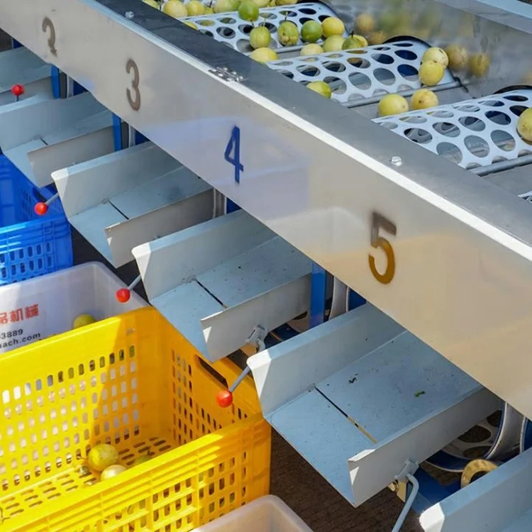 سعر المصنع التلقائي الفاكهة الخضار فرز التفاح البطاطس الطماطم البرتقال الأفوكادو البصل الصف غسالة حجم وزنها