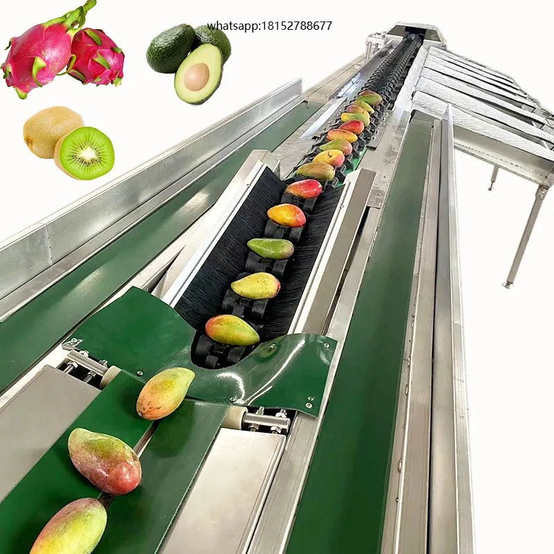 Fruit Vegetable Cleaning Grading Sorting Machine with 7200pcs/h Capacity