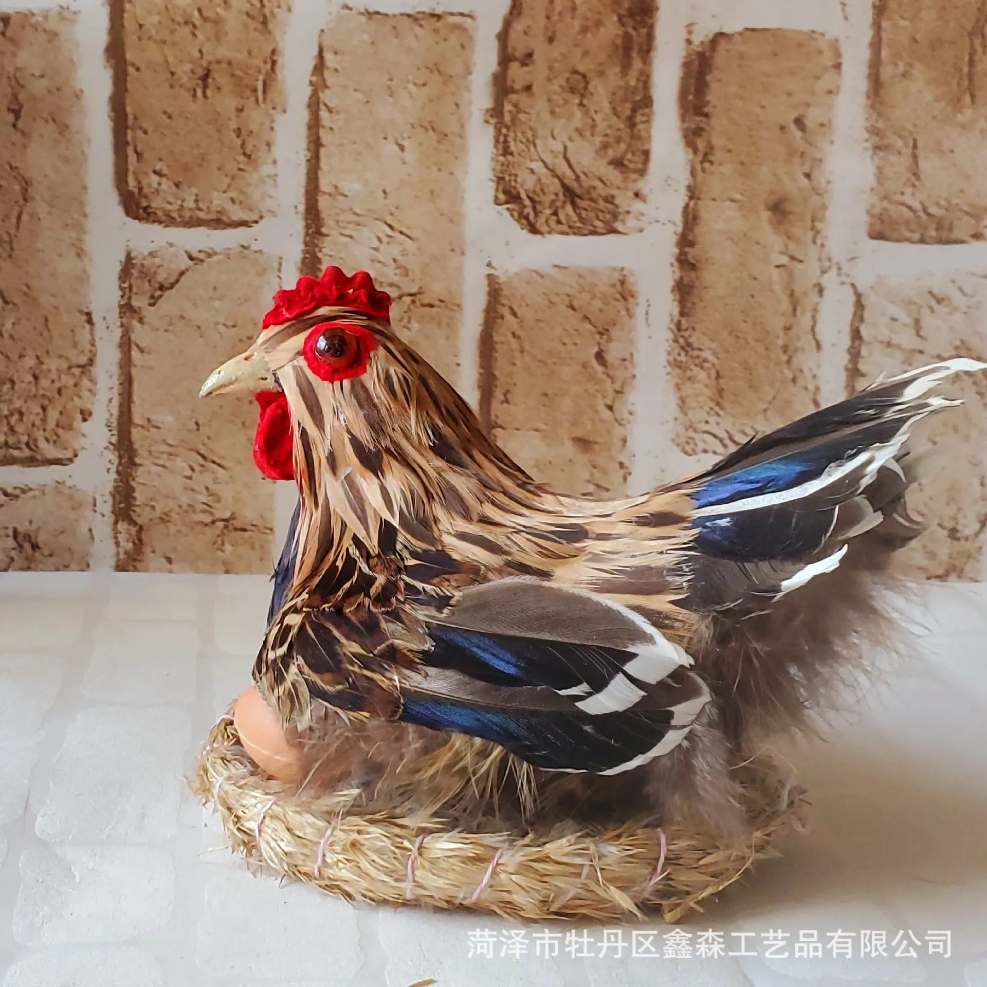 【Hatching】Rooster, hen, laying hen, feather hatching hen, specimen photography, children's cognition/fresh ornaments