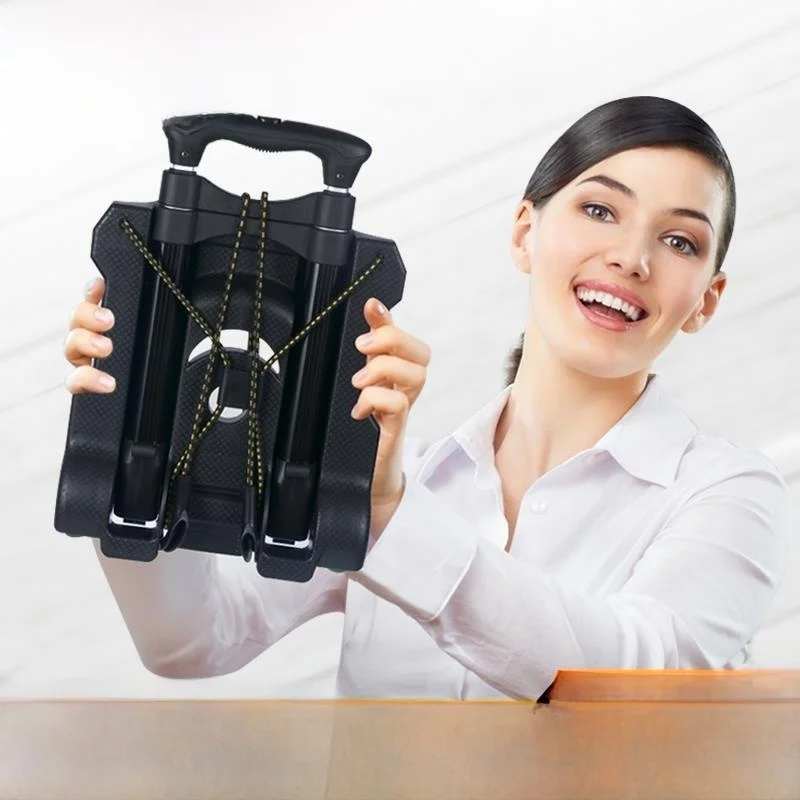carrito-de-compras-plegable-portatil-con-asa-extensible-cuerpo-de-aleacion-de-aluminio-para-comprar-vegetales-en-asia
