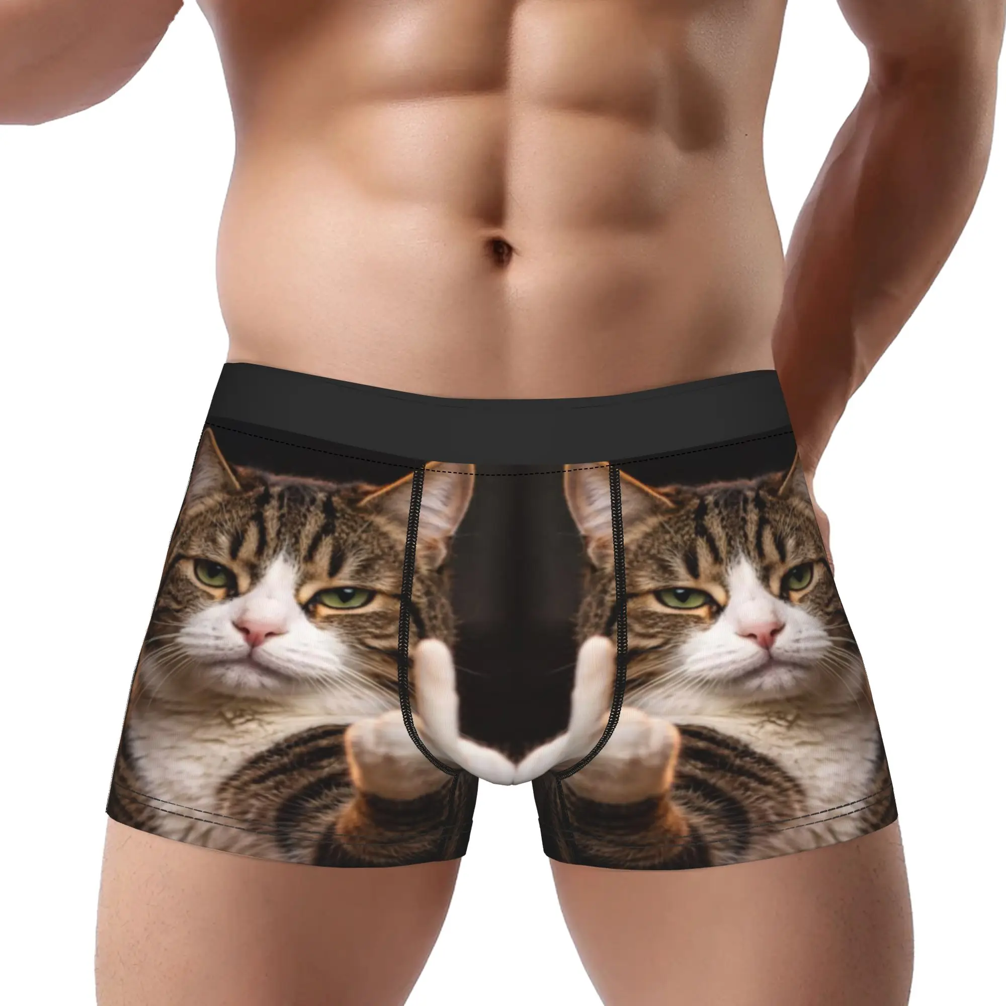 Tabby Cat Middle Finger Funny Meme Art  Underpants Breathbale Panties Man Underwear Ventilate Shorts Boxer Briefs