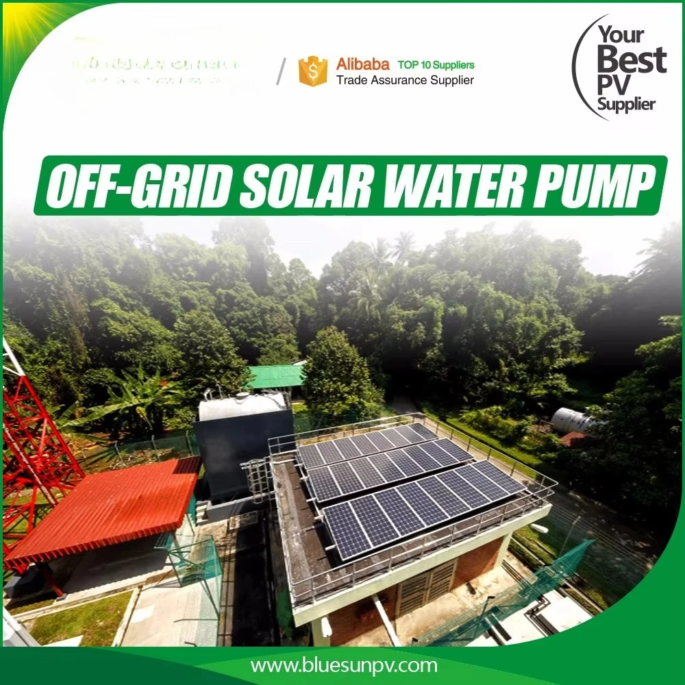 ن نظام مضخة المياه بالطاقة الشمسية القابل للتخصيص للري الزراعي #5