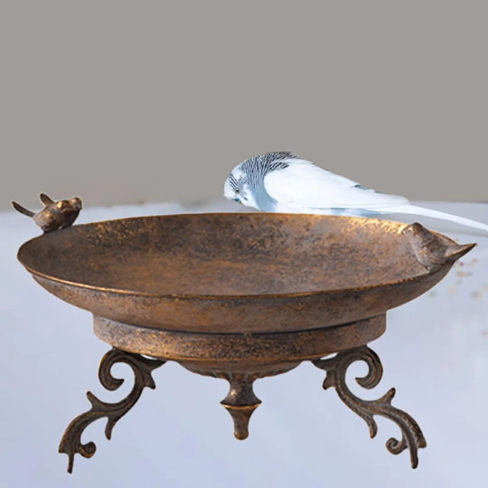 

Садовая чаша для ванны для птиц, станция для кормления, открытый двор, кормушка для птиц на новоселье, железный поднос для перил, колба, лужайка, патио