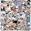 50 UNIDADES
