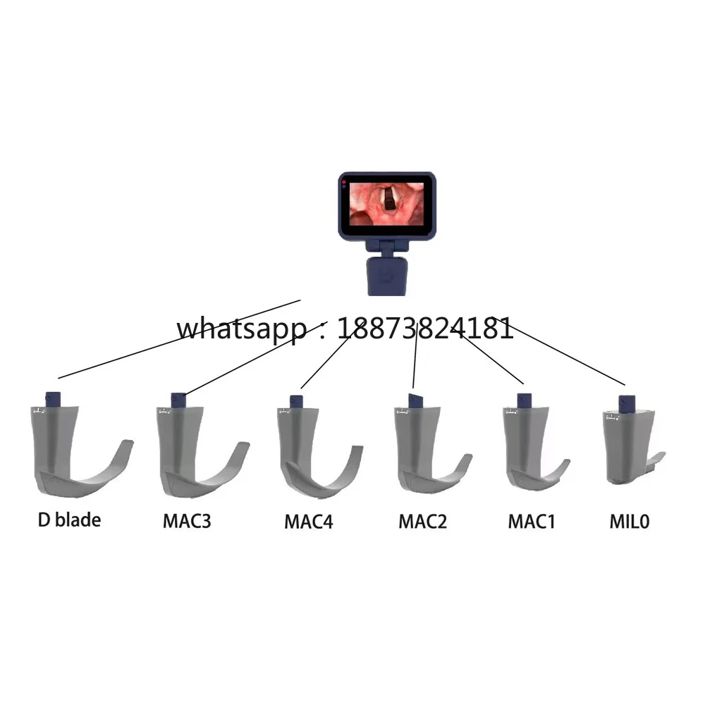 

LTEV16 Competitive Price Ent Portable Digit Video Price fast shipping