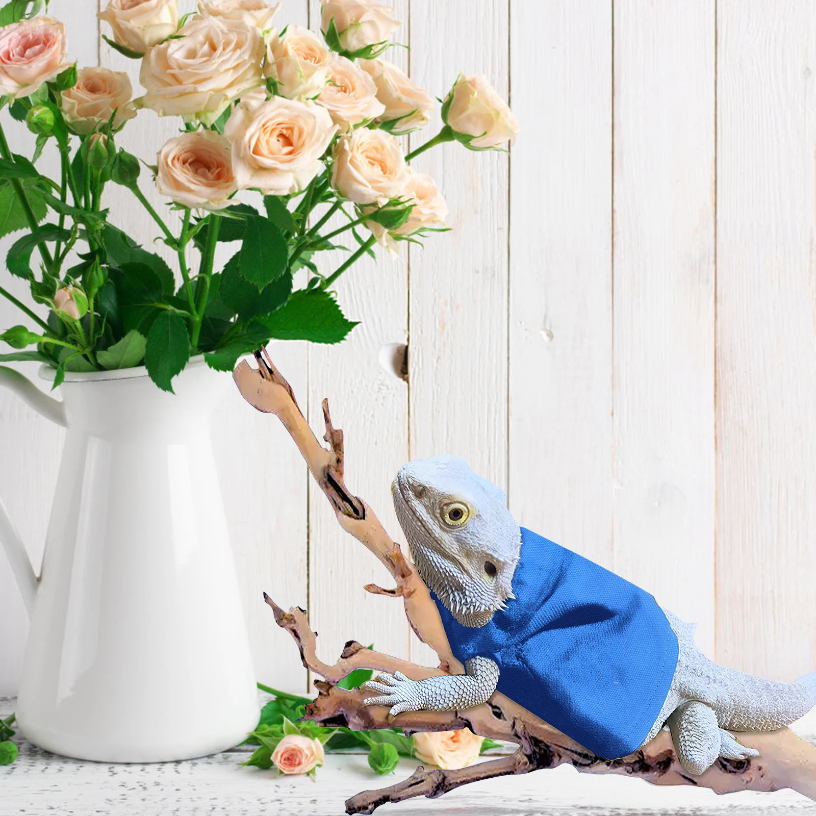 

Lizard Clothes Bearded Dragon Outfit Warm Hoodie Shirts Holiday Festival Outdoor Pet Reptile Clothing Small Accessories Decor