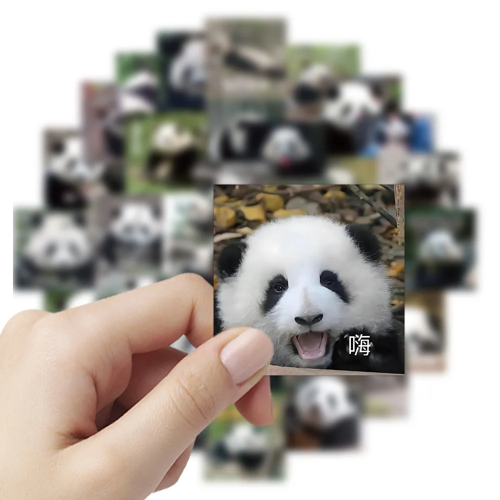 10/30/63PCS Panda Huahua Cartoon Cute Stickers Decal Decoration Suitcase Laptop Scrapbooking Phone Stationery Funny Kid Sticker