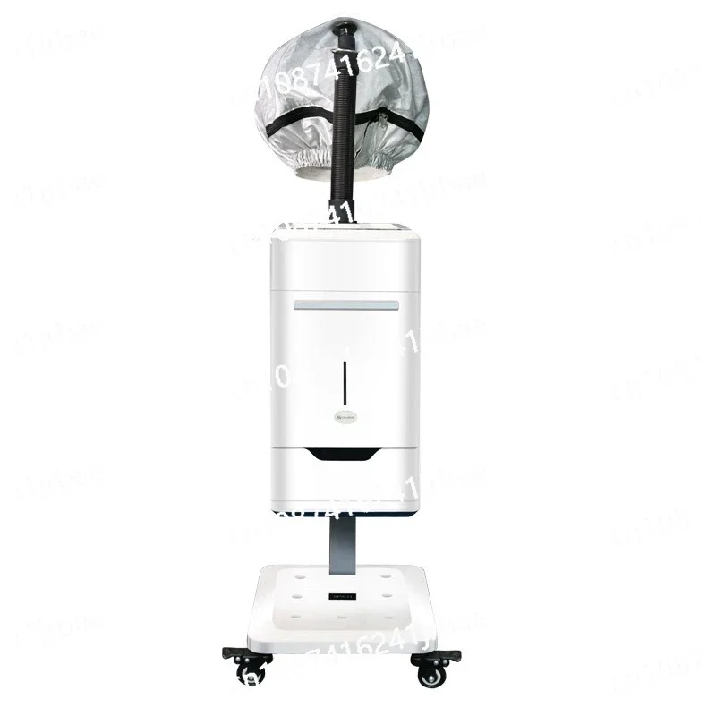 

Hair care spray machine conditioner anion nano water supplement steam machine