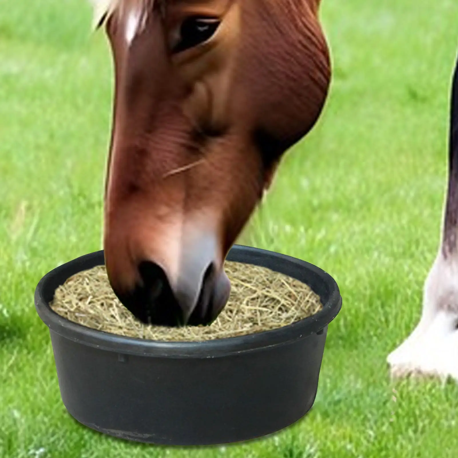 

Кормушка 4л, резиновая ведро для кормления скота, контейнер для воды, корто для еды на открытом воздухе, ранчо, ферма, кошка, собака, курица, коза, маленькое животное