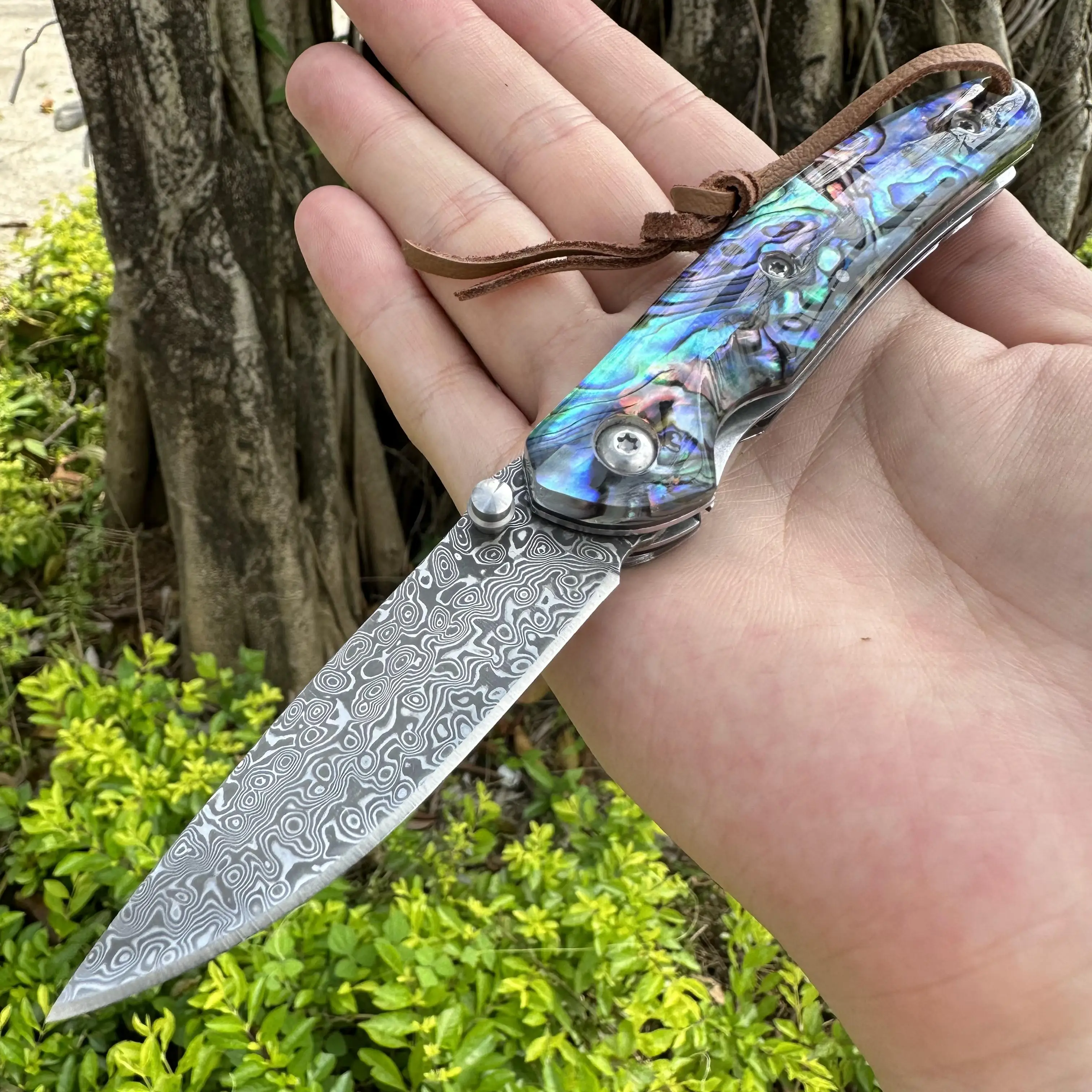 Topwell Handmade Forged Damascus Steel Knife VG10 Blade Abalone Shell Handle With Gift Box Camping outdoor Excellent Men Gift