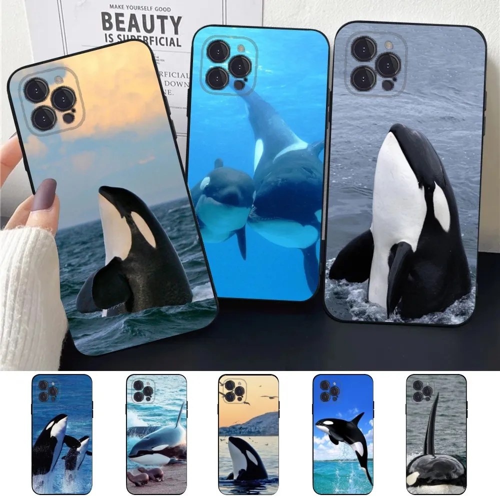 Killer Whale Orca  Phone Case For Apple iPhone 15,14,13,12,11,XS,XR,X,8,7,Pro,Max,Plus,mini Silicone Black Cover