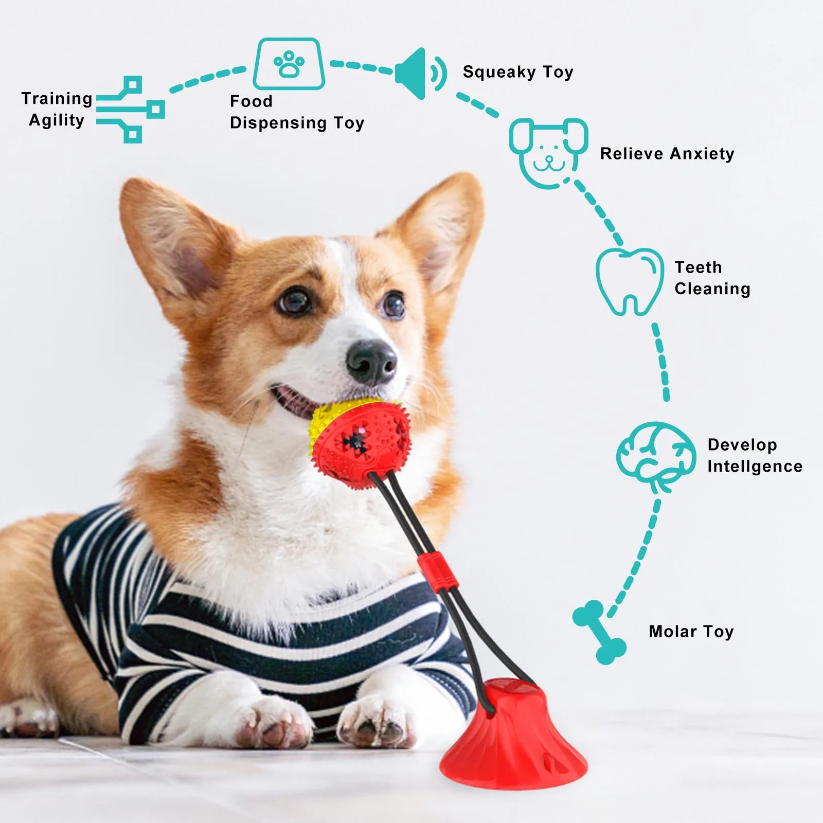 Thumbnail 2 - #53 Top Puppy Puzzle Toys Picks for Every Budget