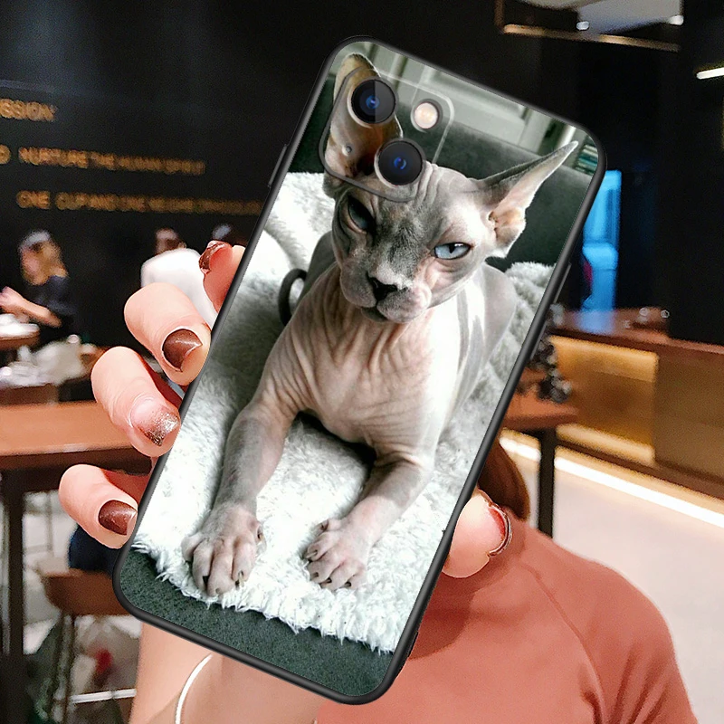 Sphynx Sphinx Cat Case For iPhone 14 13 12 11 15 16 Pro Max Plus X XS XR 12 13 Mini Cover Accessories