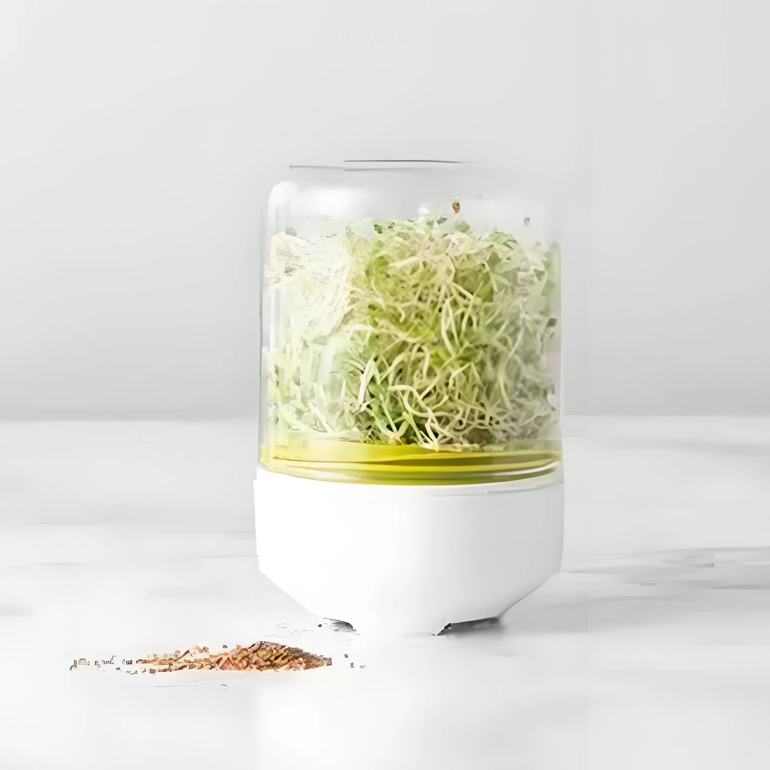 Mini Bean Sprouter Reusable Sprouting Jar Kit Sprouts Growing Bottle Pea/Mung Bean/Alfalfa/Wheat Sprouting Device Clear Lid