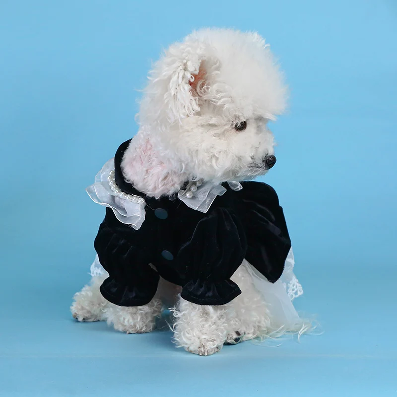 1PC Pet Apparel Dog Spring and Autumn Soft and Comfortable Black Velvet Princess Skirt Fluffy Skirt Cake Skirt For Small Medium