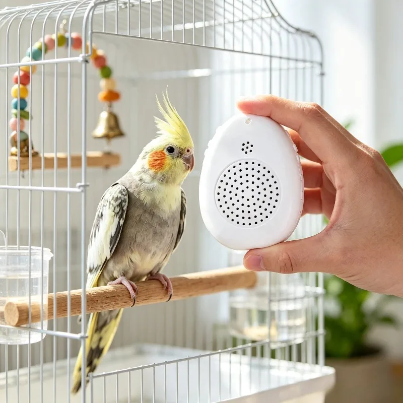 Auto Cycle Parrot Talking Trainer Repeater Speech Learning Training Machine for Myna Pet Birds Home Use
