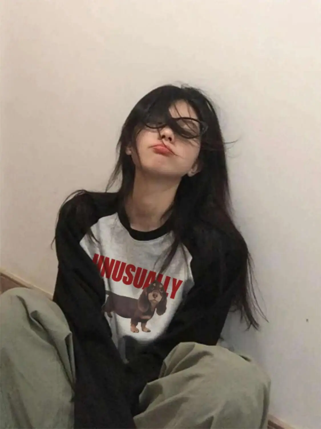 Women's American-style Dachshund Raglan Long Sleeve T-shirt, New Arrival for Spring & Autumn, Loose Lazy Casual Pure Cotton Top