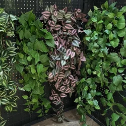 1pcs 1m/2m Single Aftificial Green Plants Leaves Ivy for Wedding Wall Home Garden Decoration Fake Hanging DIY Garden Decor Ivy