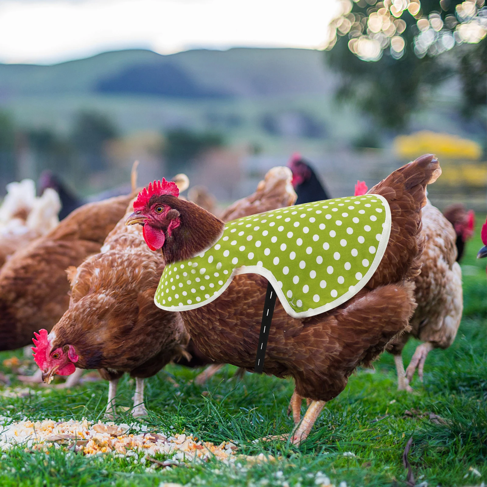 

1pc Chicken Saddle Apron Cotton Back Protector for Chickens Hen Wing Protector Reflective Strap Adjustable Elastic
