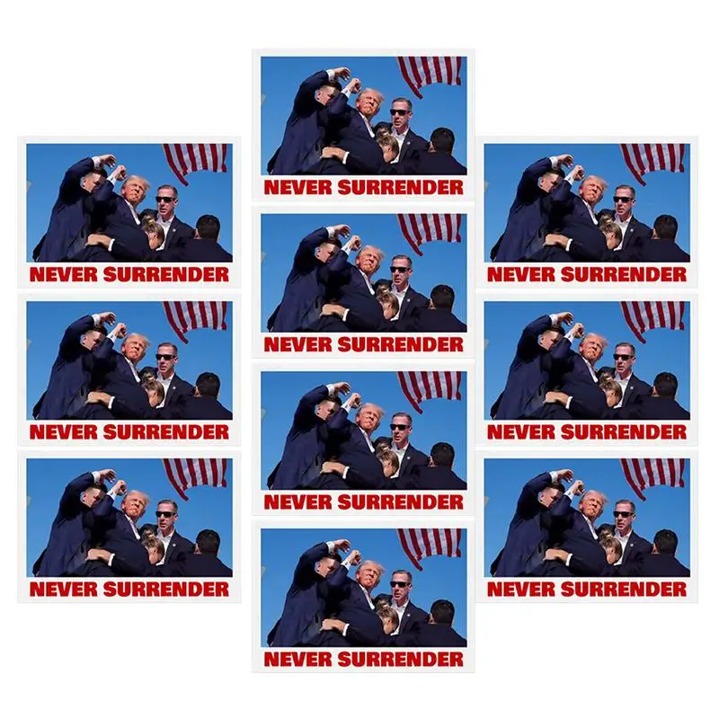 Assassination Sticker 10 PCS Never Surrender Water Bottle Sticker Assassination Graffiti Art Stickers For Car Truck Laptop