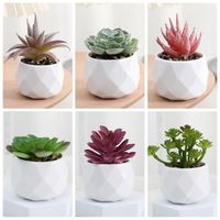 Evergreen Artificial Succulent Simulation Plastic Fake Plants Small Potted Plants Cactus Succulents Bonsai Home