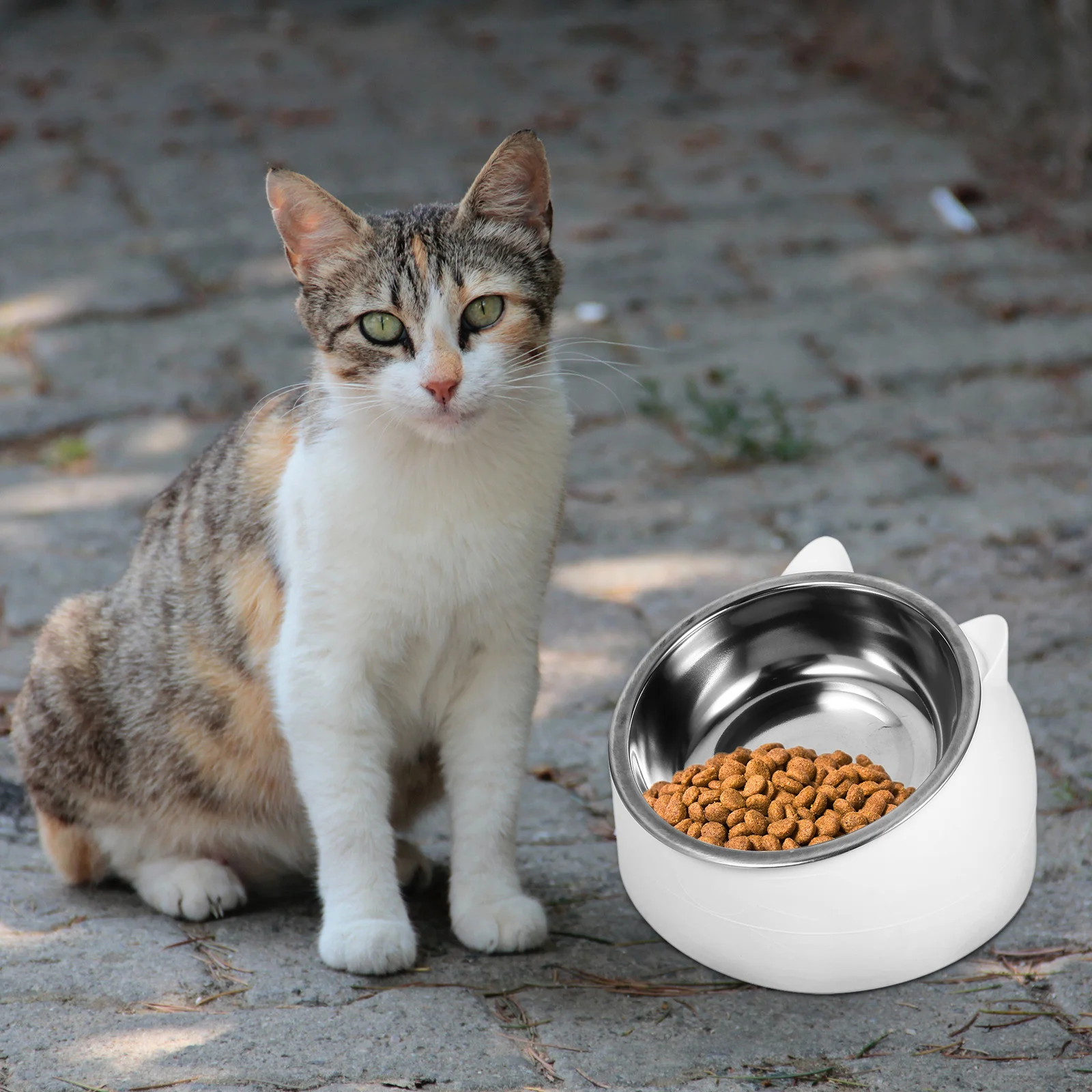 

1Set Elevated Pet Feeding Bowl Stainless Steel Tilted Cat Food Feeder Neck Protection Anti-Spill Cat Bowl for Cats Small Dogs