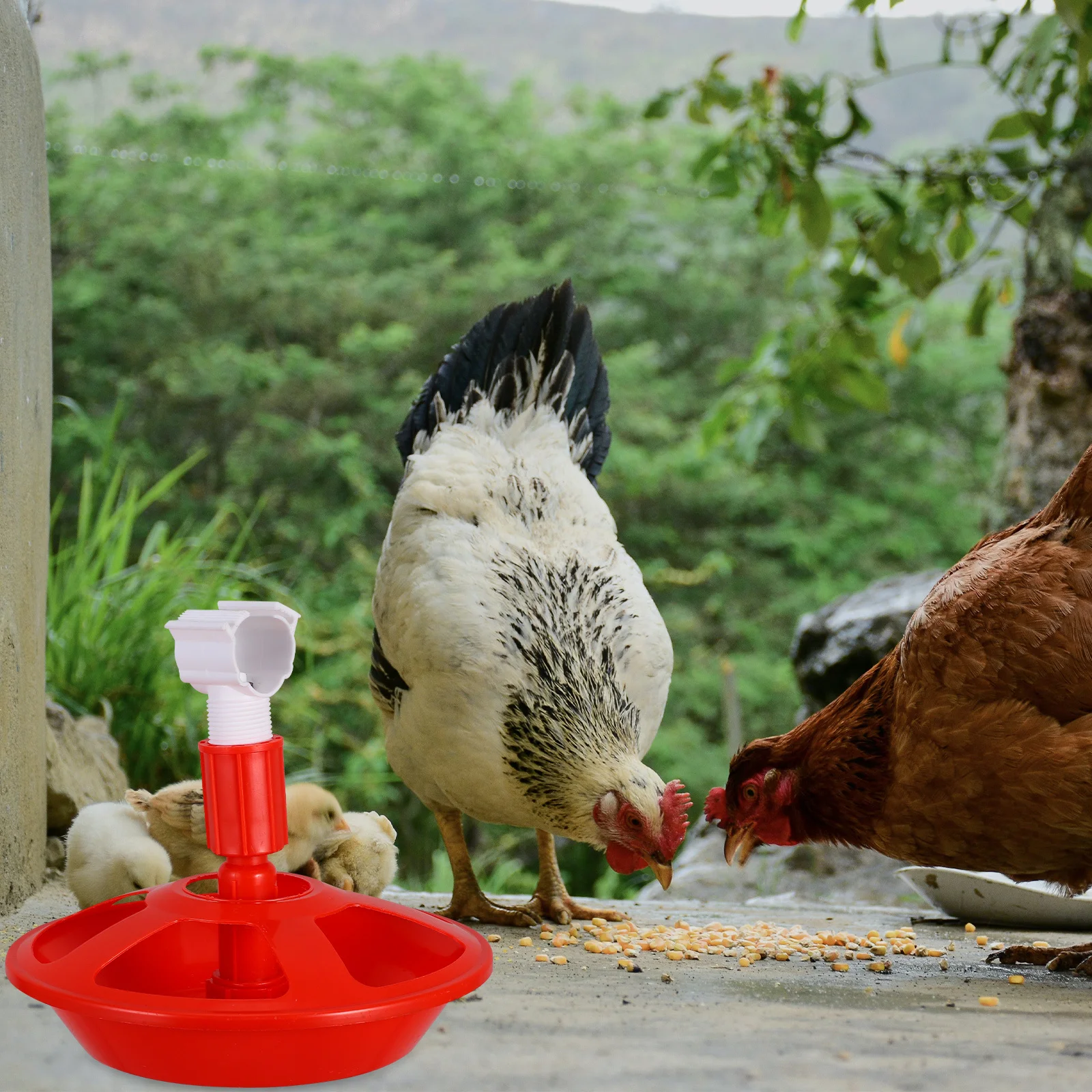 

Automatic Poultry Waterer Chicken Duck Quail Semi-Automatic Water Dispenser Baby Chick Drinking Bowl Leakproof Base Save Water