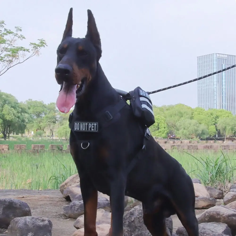 

Cat Supplies Reflective Dog Leash Set Breathable No Pull Large Dog Harness Vest Adjustable Anti Escape Dog Traction Rope Outdoor