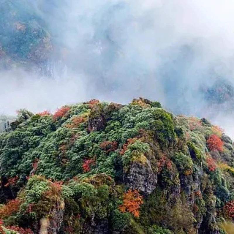 

IFlight 100x40 мм BLITZ PCB Практика паяльной платы для FPV Новичок Новые пилоты улучшения уровня пайки DIY Инструмент