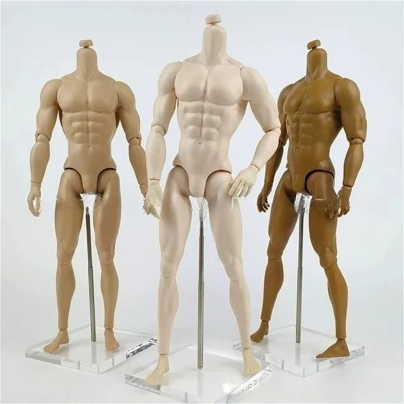 

30cm Male Doll's Body for 1/6 FR Doll with White/ Normal/Tan Skin Doll Toys Accessories