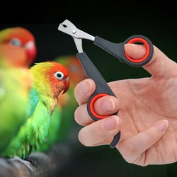 Coupe-ongles pour animaux de compagnie, ciseaux pour chiens, chats, oiseaux, overd'inde, griffes d'animaux, coupe-patte, cisaille à perroquet