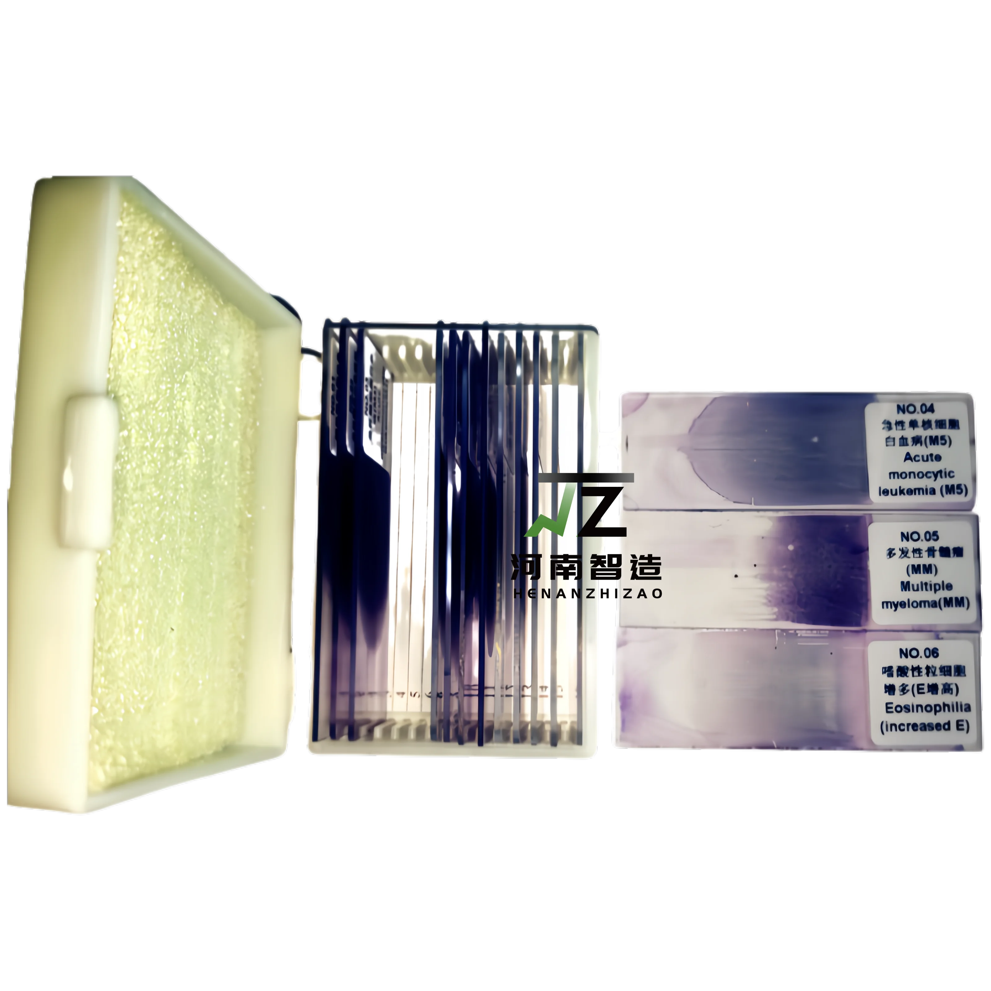 Educational School Equipment 15Pcs/Set Hematology Blood Smear Prepared Slides
