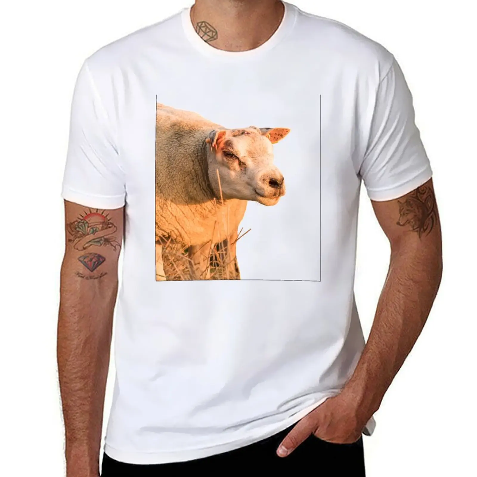 

Texel Sheep II T-Shirt funny t shirts dark humor t shirt for man T-Shirt