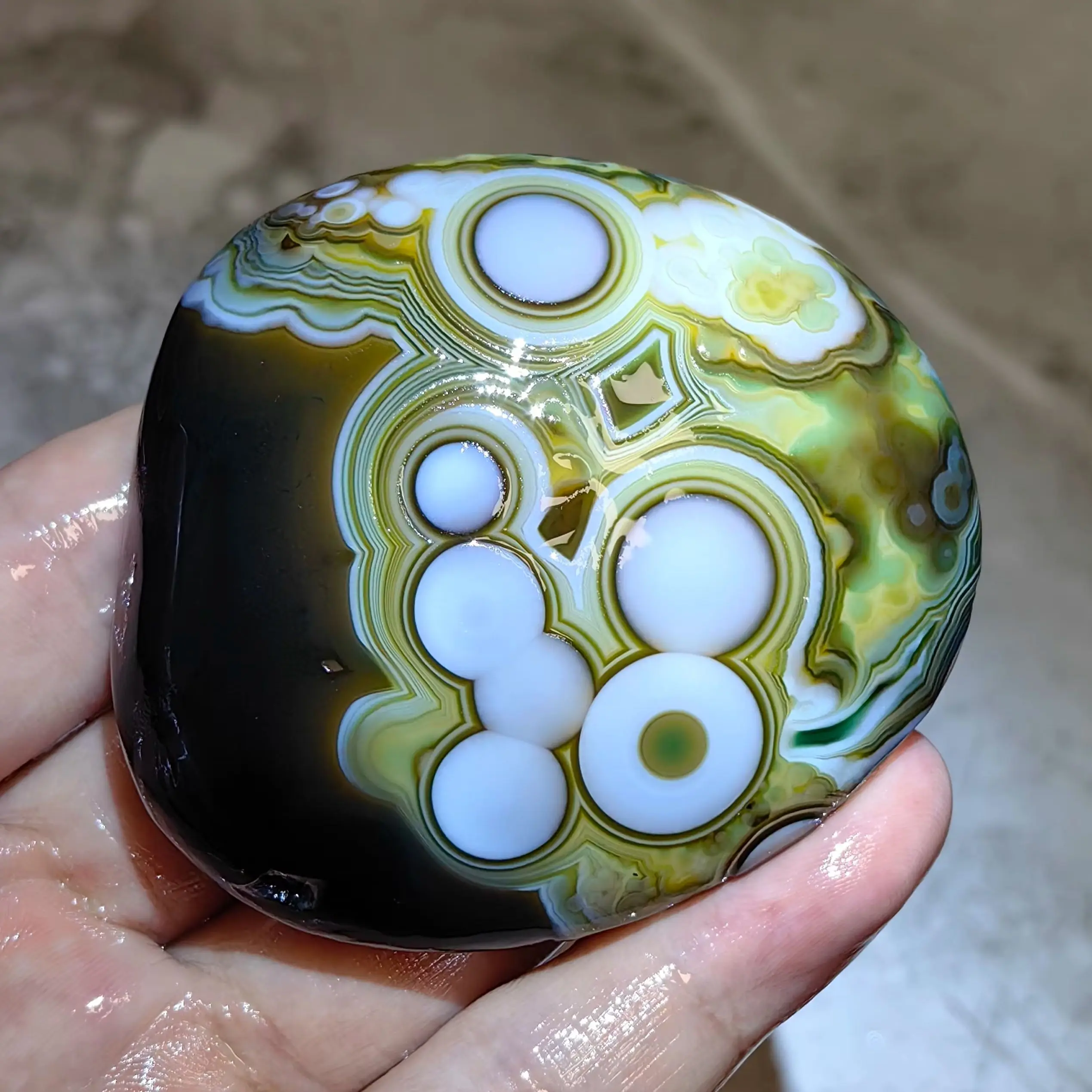 Rare Green & Black Gobi Agate with Striking White Eye Patterns Collectible Geological Specimen for Meditation Space