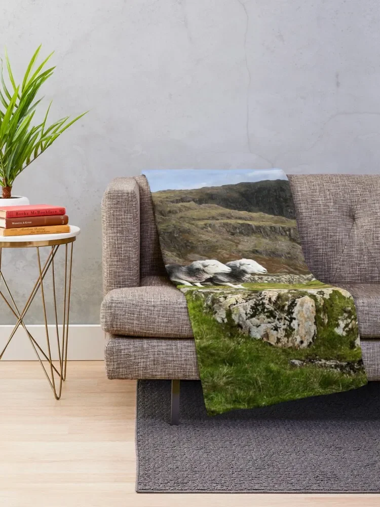 Herdwick Sheep in The Lake District Throw Blanket for winter Luxury Thicken Blankets