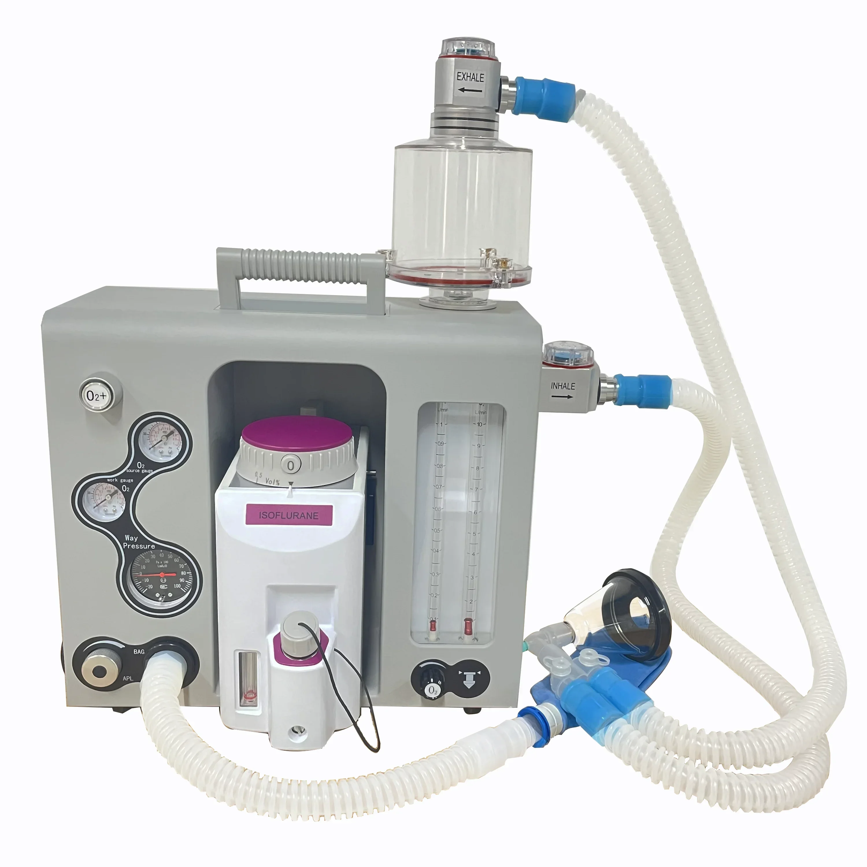 

Veterinary Portable Medical Surgical Operating Room Anaesthesia Machine For Animals