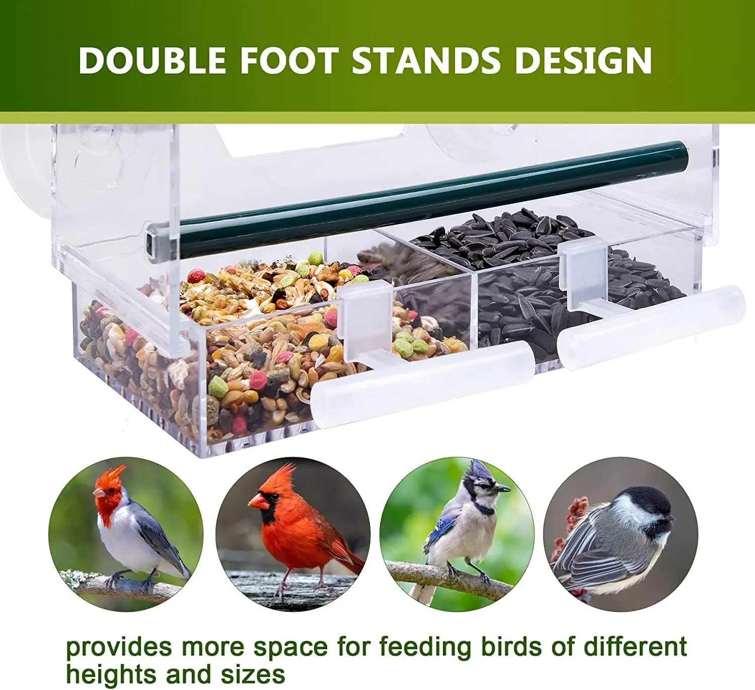 Window Bird Feeder, Large Outdoor Bird House Feeder with 4 Powerful Suction Cups and 2 Extra Bird Racks, Removable