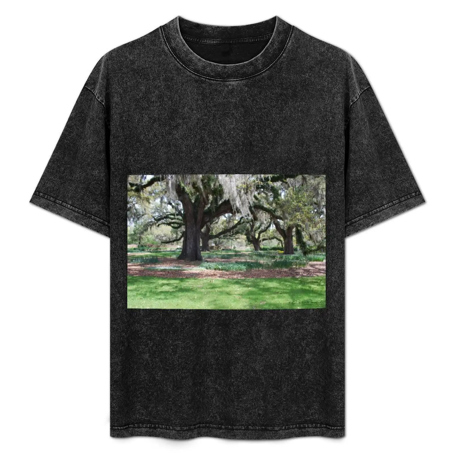 Live Oaks at Brookgreen T-Shirt plus size tops boys animal print tee shirts for men