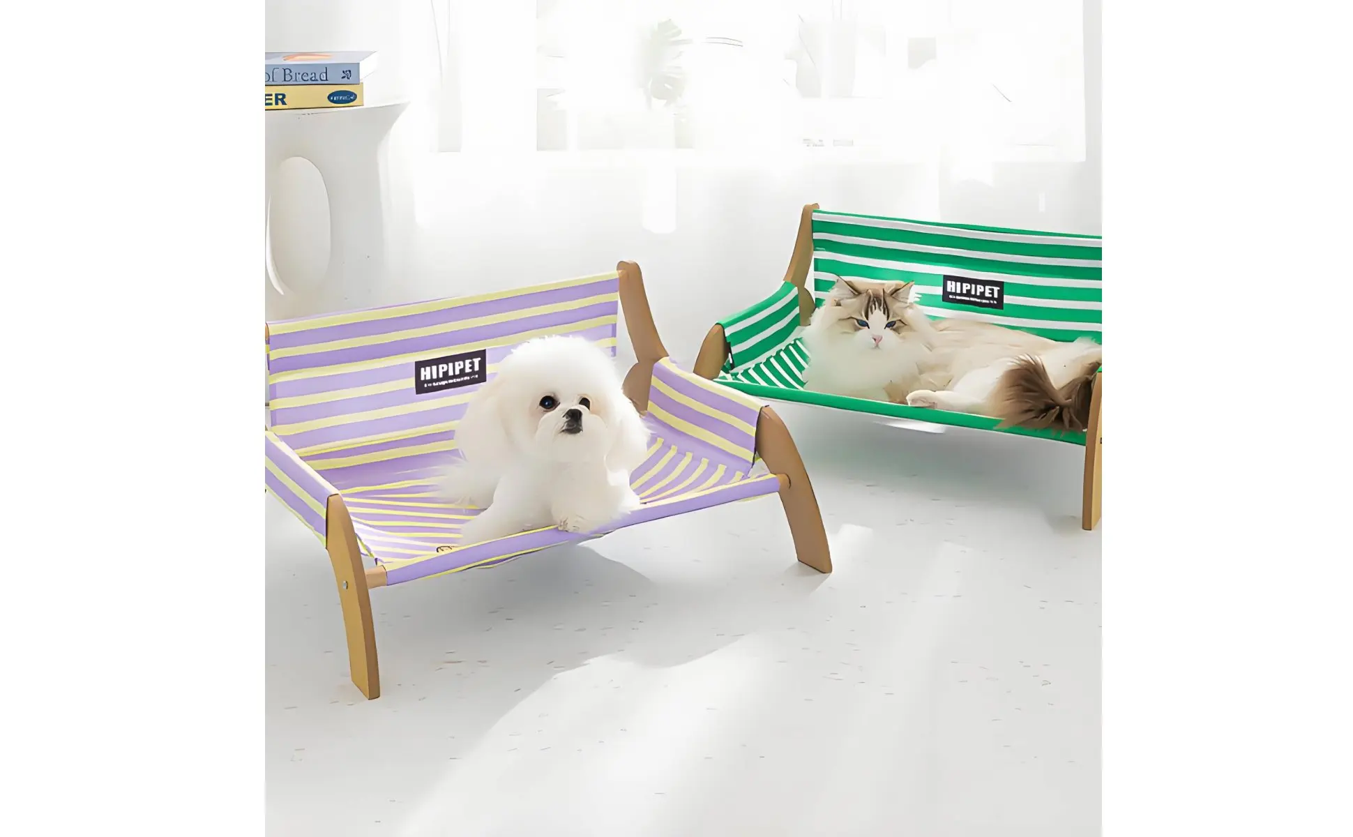 Cama Elevada para Animais de Estimação Estrutura de Madeira Respirável Cama para Animais de Estimação Resistente à Umidade para o Verão Cama Elevada para Animais de Estimação Estrutura de Madeira Respirável Cama para Animais de Estimação Resistente à Umidade para o Verão