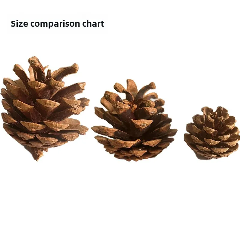 Natural Pine Cone Decoration  Supplies Pet Molar Pine Cone Rabbit Squirrel Hamster Chinchilla Parrots Relieving Stuffy Toys