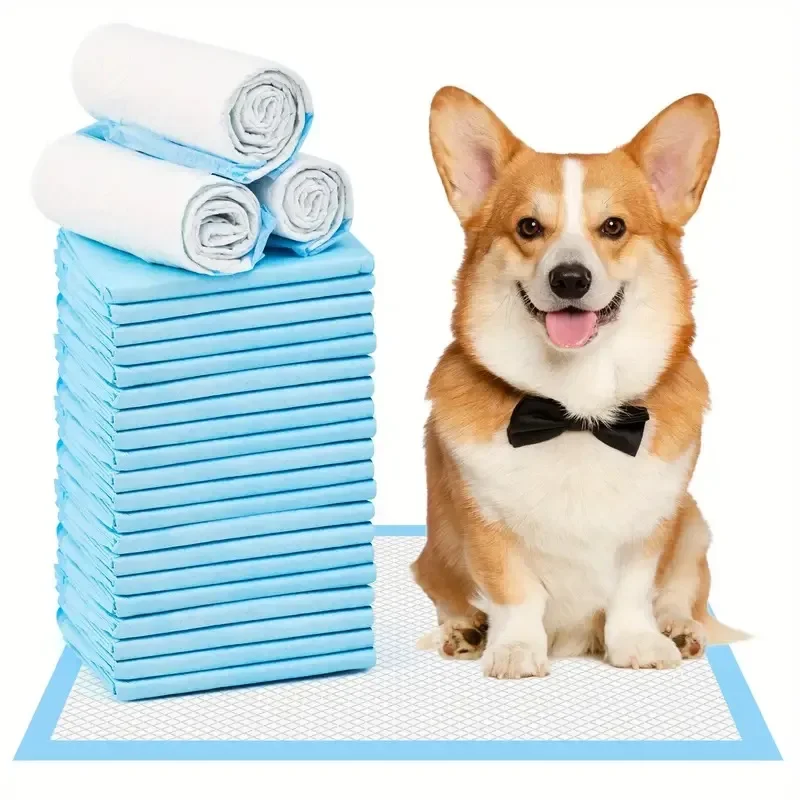 Thickened Super Absorbent Pet Urine Pad Disposable Leak-proof Quick-drying Toilet Training Pad Cat Dog Puppy Special Urine Pad