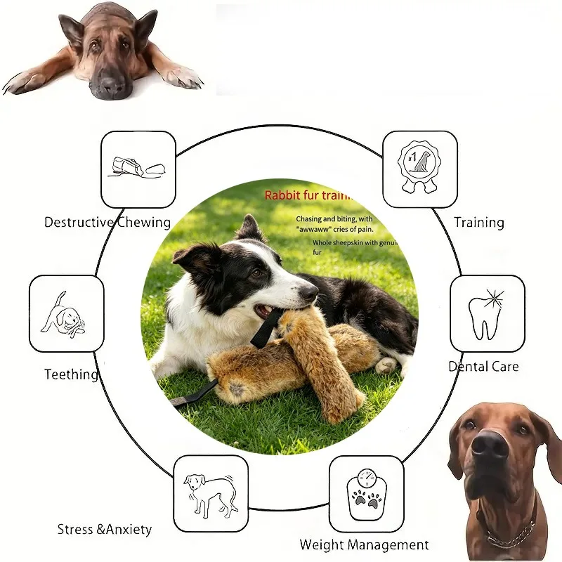 JUSTINLAU Kaninchenfell-Quietschspielzeug für Hunde, Beißspielzeug für Interaktives Outdoor-Spiel, Plüsch-Soundspielzeug für Mittelgroße & Große Hunde – Detail 6