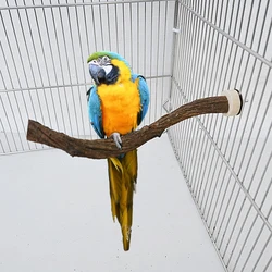 Natural Parrot Perch Bird Stand Tree Stick Paw Grinding Fork Parakeet Climbing Bird Standing Branches Toys Birdcage Accessories